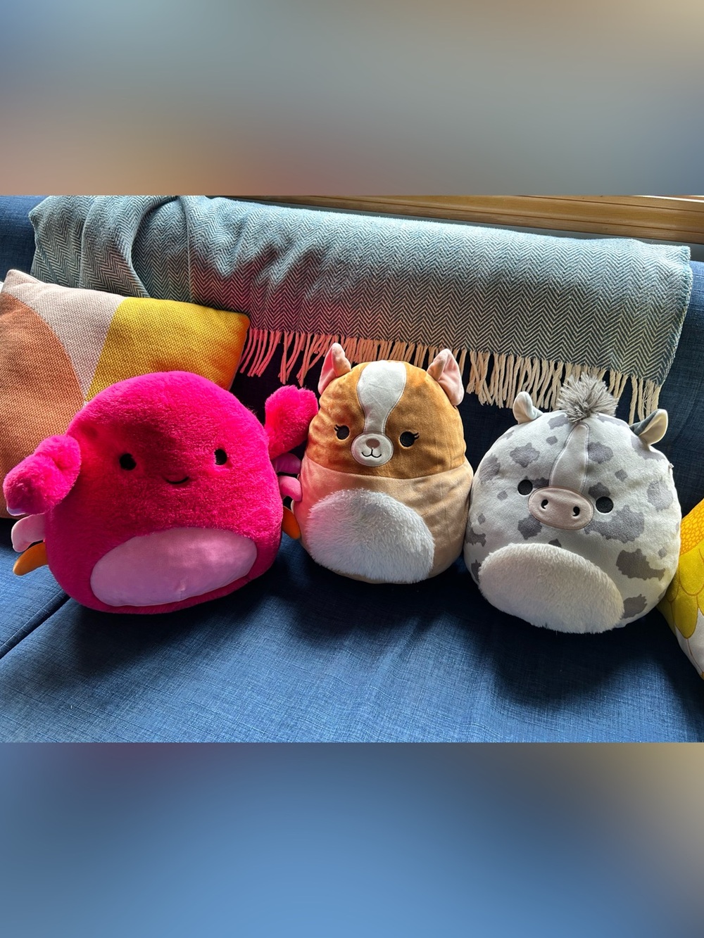 Squishmallow and Fuzzamallow bundle